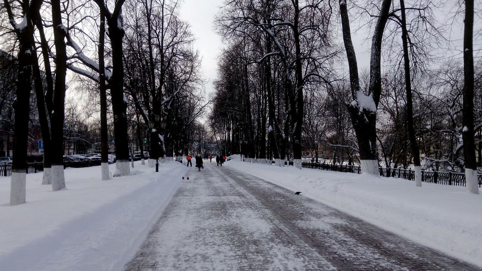 Первомайский бульвар, 2022 год