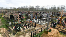 Мэр Ярославля прокомментировал ситуацию с Осташинским кладбищем