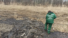 Суд взыскал с компании почти 800 тысяч рублей за загрязнение почвы в Кузнечихе