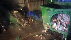 В Ярославле за ночь сгорели семь мусорных контейнеров
