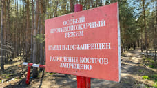В Ярославской области объявлена чрезвычайная пожароопасность