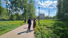 Подрядчика Павловского парка оштрафовали на 30 тысяч рублей