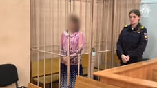 В Ярославле арестовали обвиняемую в похищении ребенка