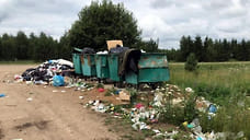 Власти хотят посчитать горожан, которые выбрасывают мусор на селе
