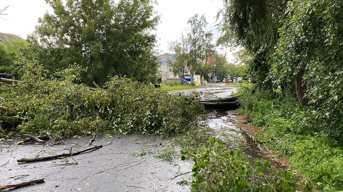 Данилов остался без воды и электричества из-за урагана – Коммерсантъ  Ярославль