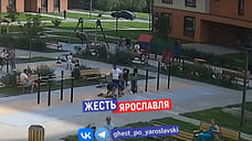 Полиция проверит видео избиения ребенка в ЖК «Волга Парк» в Ярославле