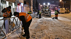 Бизнес-омбудсмен просит снизить штрафы за уборку снега в Ярославской области