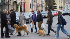 В Ярославле потеплеет до +11°C