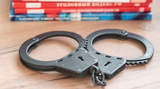 Ярославца приговорили к лишению свободы за наезд на полицейского