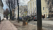 Мэрия Ярославля заявила о готовности к ликвидации последствий непогоды