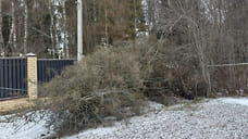 Сильный ветер оставил жителей области без света