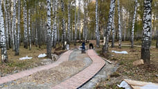 Мэрия Ярославля обжалует отказ включать экс-подрядчика трех парков в РНП