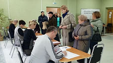 Явка на выборах в Ярославской области составила 13,32%