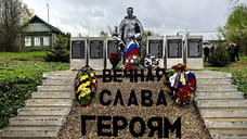 Костромской губернатор поблагодарил ярославского детского омбудсмена