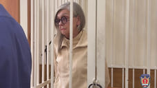 Ярославскую пенсионерку осудили за кражу 112 млн у Олега Митволя