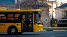 В Ярославле в День города запустят ночные автобусы