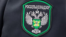 Любимских предпринимателей оштрафовали за просрочку