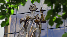 Администрация Рыбинска заплатит за падение ребенка в парке