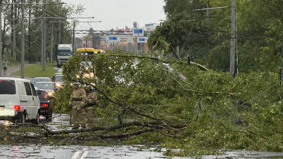 Упавшее дерево на Тутаевском шоссе