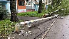 В Ярославле во время грозы на ребенка упал столб