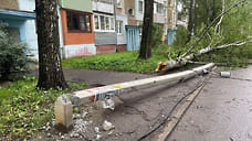 Бастрыкин хочет знать, кто виноват в падении столба на ребенка в Ярославле
