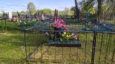 В Ярославской области оцифруют Селифонтовское кладбище