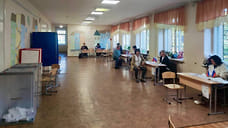 В Ярославской области явка на довыборах составила 4,19%
