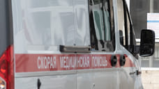 В Ярославской области пока не выявлено случаев гриппа