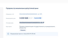 В Ярославле покупателя имущества за 999 квинтиллионов просят оплатить покупку