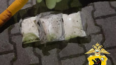 В Ярославской области в мягкой игрушке нашли 1,5 кг наркотиков