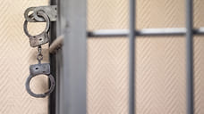 Ярославец совершил разбой с игрушечным пистолетом