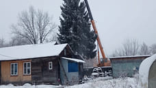 В Заволжском районе Ярославля ищут новогоднюю ель