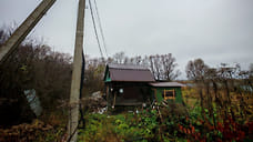 Под Ярославлем нашли нелегальную майнинг-ферму в зарослях борщевика