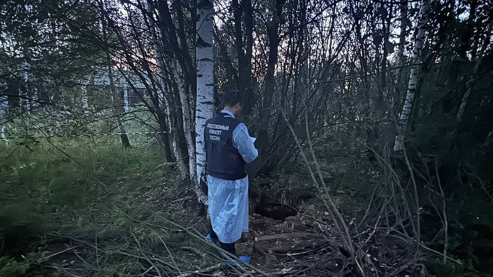 Колодец, в котором погиб ребенок