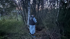 Борисоглебскую чиновницу признали виновной в гибели ребенка в открытом люке