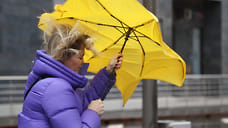 В Ярославской области ожидают сильный ветер