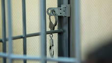 Суд приговорил жителя Тутаева к колонии за нападение с ножом на полицейского