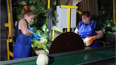 В Ярославской области появился третий агроагрегатор