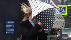 Ярославское МЧС предупредило о сильном ветре