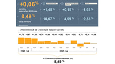В Ярославской области в октябре увеличилась годовая инфляция
