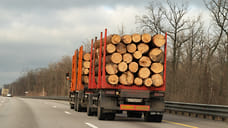 Директора лесозаготовительной компании приговорили к штрафу за дачу взятки