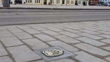 В Ростове Великом началось создание маршрута «Медвежья тропа»