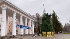 В Ярославле поставят 58 новогодних елей