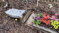 Губернатор прокомментировал разгром на Донском кладбище в Ярославле