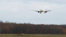 Ярославский аэропорт приостанавливал работу