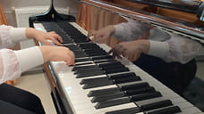 Комиссия ОП РФ предложила создать ярославскую областную школу искусств