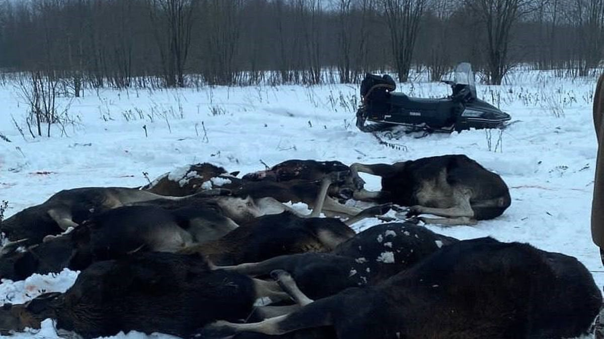 Между святыней и «Адом» – Коммерсантъ Ярославль