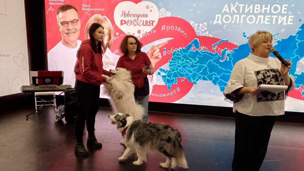 Собаки Кейла и Конор из Ярославской области приняли участие в мастер-классе по канистерапии
