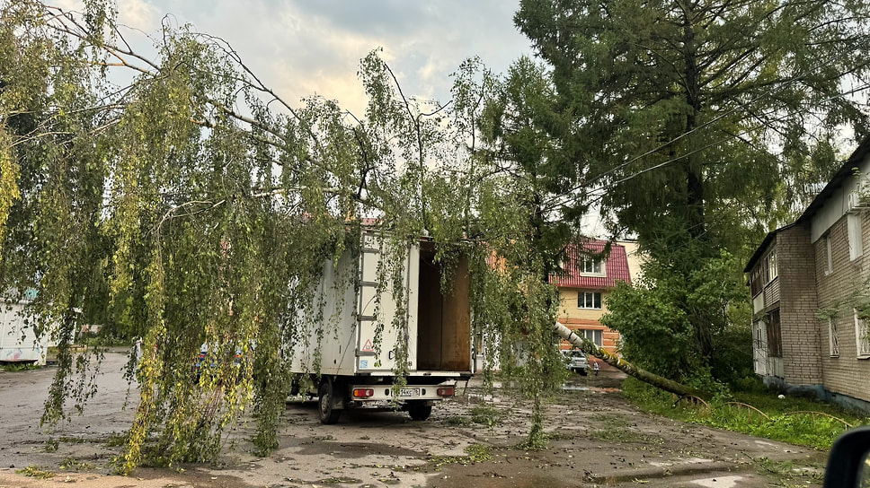 Упавшее дерево на автомобиль под Ярославлем