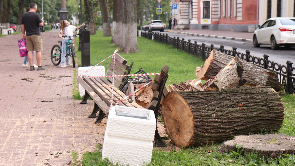 На Революционной в областной столице сломало скамейку